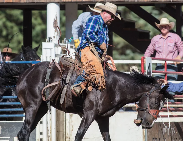 Eyer geri olay Scott Vadisi zevk Park Rodeo Etna, California at binme. 29 Temmuz 2017