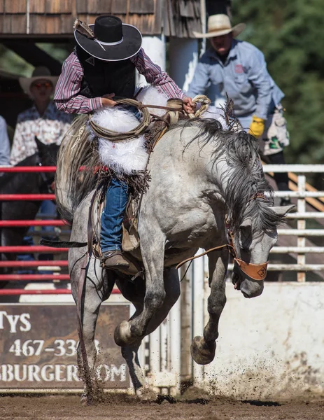 Eyer geri olay Scott Vadisi zevk Park Rodeo Etna, California at binme. 29 Temmuz 2017