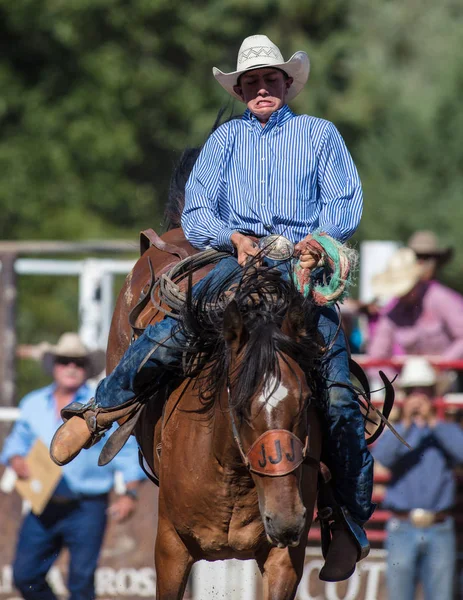 Eyer geri olay Scott Vadisi zevk Park Rodeo Etna, California at binme. 29 Temmuz 2017