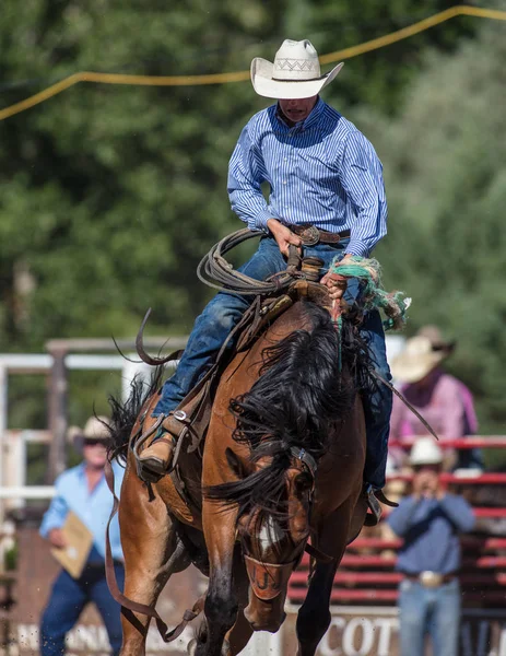 Saddle Back Riding Event Scott Valley Pleasure Park Rodeo Etna — Stock Photo, Image