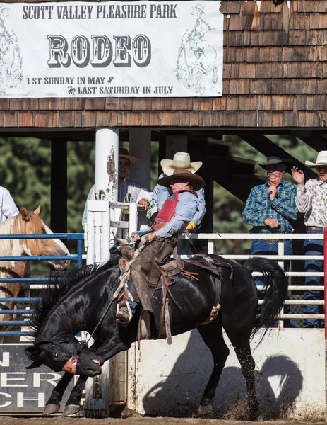 Saddle Back Rider Action — Stock Photo, Image