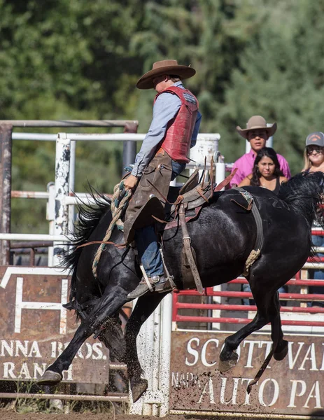 Eyer arka binici eylem 