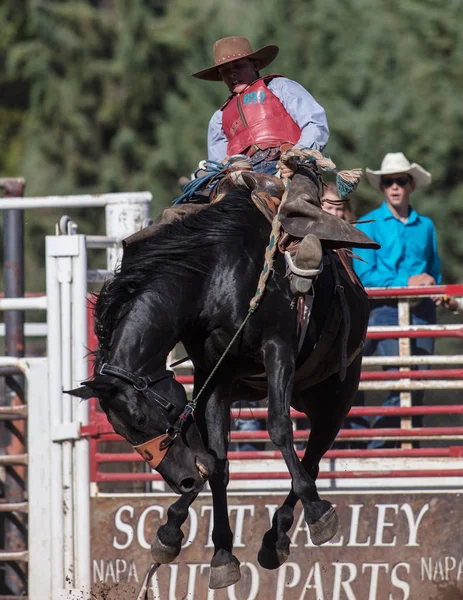 Eyer arka binici eylem 