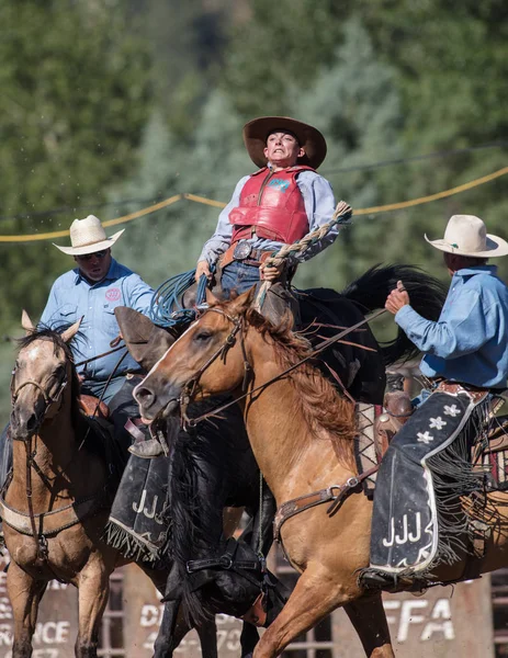 Saddle Back Rider Action — Stock Photo, Image