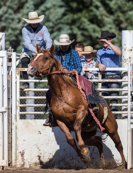 Saddle Back Rider Action — Stock Photo, Image