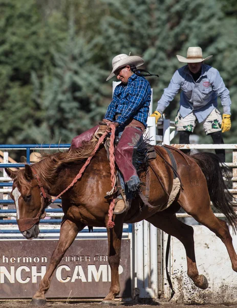 Eyer arka binici eylem 