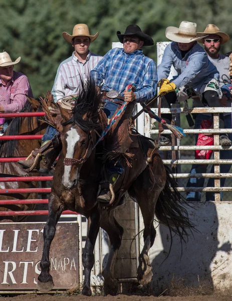 Eyer arka binici eylem 