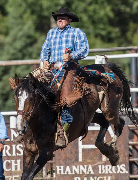 Saddle Back Rider Action — Stock Photo, Image