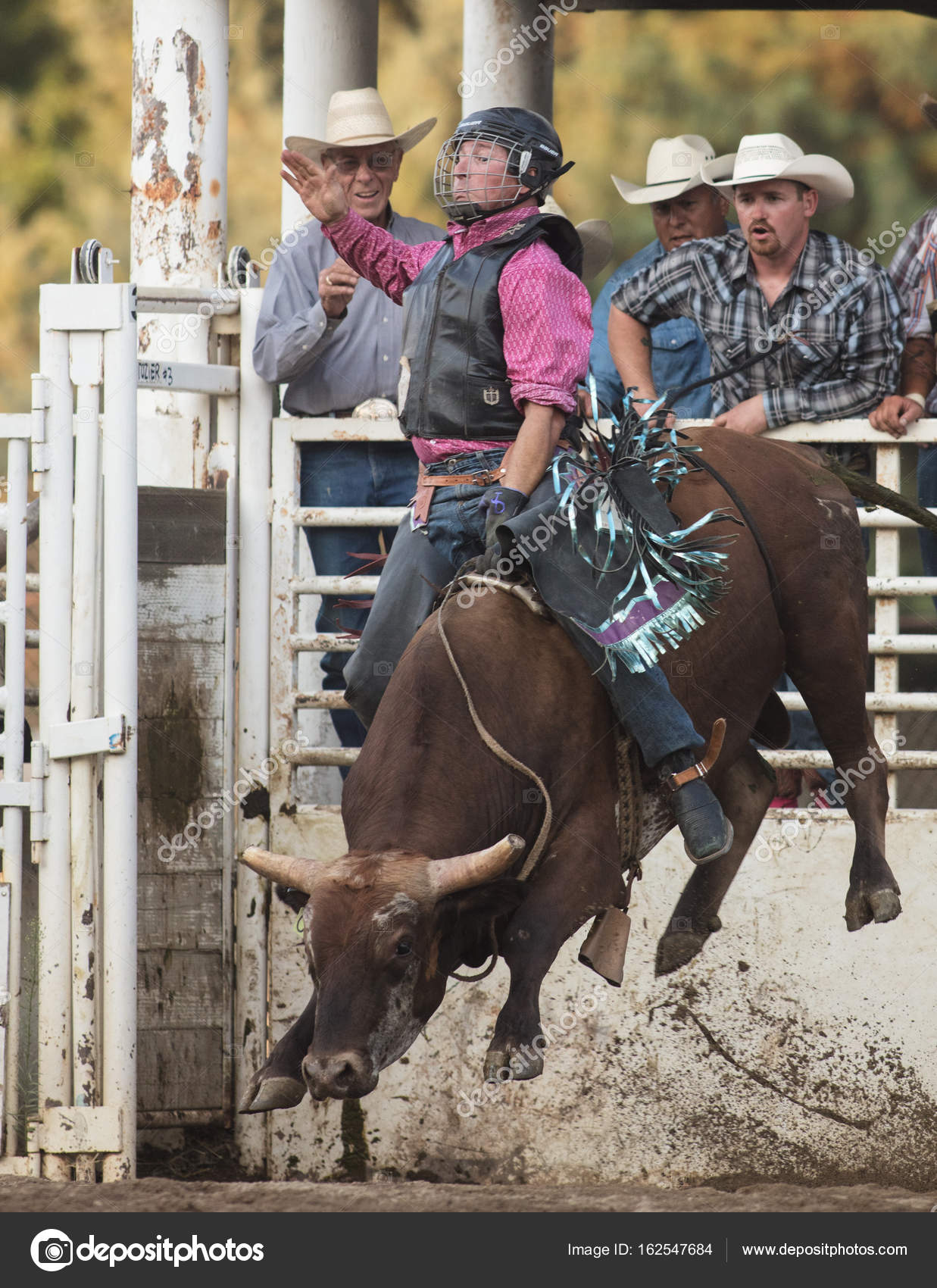 The Bull Rider Stock Editorial Photo C Teacherdad48 162547684