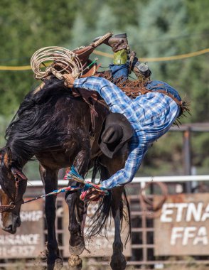 Eyer arka binici eylem 