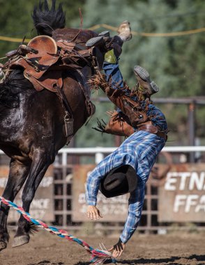 Eyer arka binici eylem 