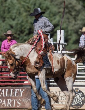 Eyer geri olay Scott Vadisi zevk Park Rodeo Etna, California at binme. 29 Temmuz 2017
