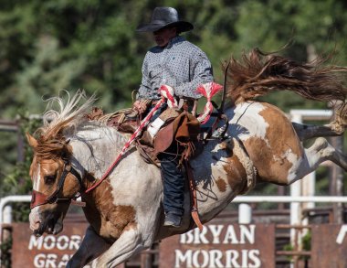 Eyer geri olay Scott Vadisi zevk Park Rodeo Etna, California at binme. 29 Temmuz 2017