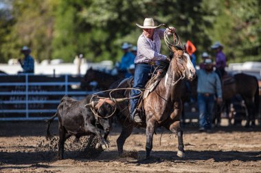 Kementleme olay Scott Vadisi zevk Park Rodeo Etna, California yönlendirmek. 29 Temmuz 2017