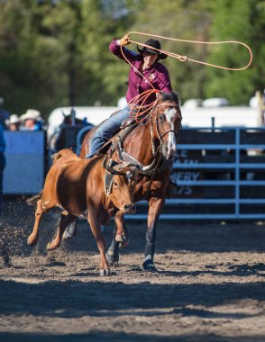 Kementleme olay Scott Vadisi zevk Park Rodeo Etna, California yönlendirmek. 29 Temmuz 2017