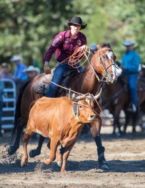 Kementleme olay Scott Vadisi zevk Park Rodeo Etna, California yönlendirmek. 29 Temmuz 2017