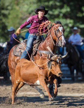 Kementleme olay Scott Vadisi zevk Park Rodeo Etna, California yönlendirmek. 29 Temmuz 2017