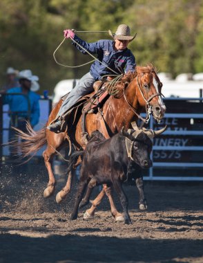 Kementleme olay Scott Vadisi zevk Park Rodeo Etna, California yönlendirmek. 29 Temmuz 2017