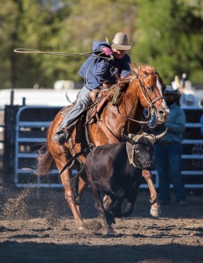 Kementleme olay Scott Vadisi zevk Park Rodeo Etna, California yönlendirmek. 29 Temmuz 2017