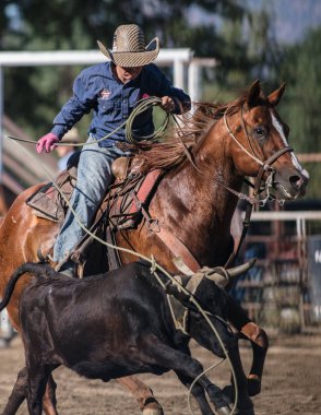 Kementleme olay Scott Vadisi zevk Park Rodeo Etna, California yönlendirmek. 29 Temmuz 2017