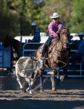 Kementleme olay Scott Vadisi zevk Park Rodeo Etna, California yönlendirmek. 29 Temmuz 2017