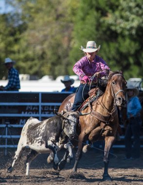 Kementleme olay Scott Vadisi zevk Park Rodeo Etna, California yönlendirmek. 29 Temmuz 2017