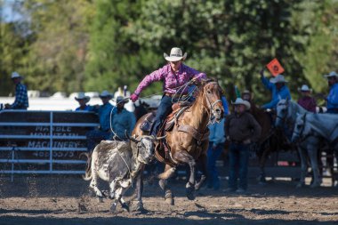Kementleme olay Scott Vadisi zevk Park Rodeo Etna, California yönlendirmek. 29 Temmuz 2017
