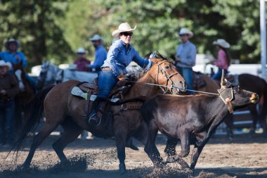 Kementleme olay Scott Vadisi zevk Park Rodeo Etna, California yönlendirmek. 29 Temmuz 2017