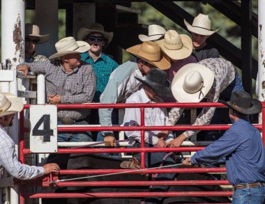 Scott Vadisi zevk Park Rodeo Etna, Kaliforniya'da Rodeo eylem. 29 Temmuz 2017 