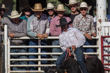 Scott Vadisi zevk Park Rodeo Etna, Kaliforniya'da Rodeo eylem. 29 Temmuz 2017 