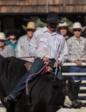 Scott Vadisi zevk Park Rodeo Etna, Kaliforniya'da Rodeo eylem. 29 Temmuz 2017 