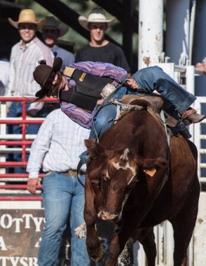 Scott Vadisi zevk Park Rodeo Etna, Kaliforniya'da Rodeo eylem. 29 Temmuz 2017 
