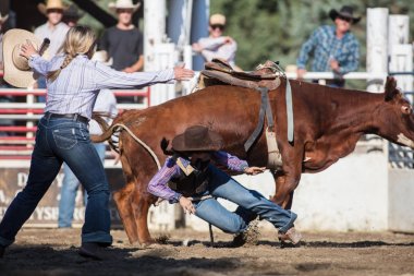 Scott Vadisi zevk Park Rodeo Etna, Kaliforniya'da Rodeo eylem. 29 Temmuz 2017 