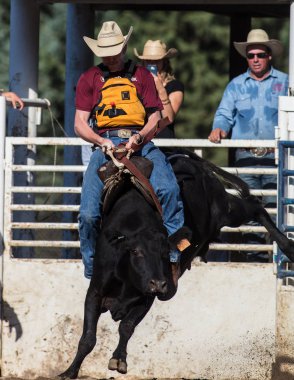 Scott Vadisi zevk Park Rodeo Etna, Kaliforniya'da Rodeo eylem. 29 Temmuz 2017 