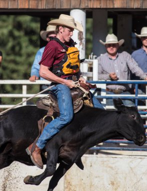 Scott Vadisi zevk Park Rodeo Etna, Kaliforniya'da Rodeo eylem. 29 Temmuz 2017 