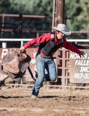 Scott Vadisi zevk Park Rodeo Etna, Kaliforniya'da Rodeo eylem. 29 Temmuz 2017 