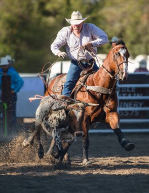 Scott Vadisi zevk Park Rodeo Etna, Kaliforniya'da Rodeo eylem. 29 Temmuz 2017 