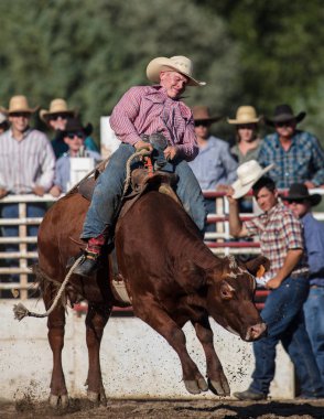 Scott Vadisi zevk Park Rodeo Etna, Kaliforniya'da Rodeo eylem. 29 Temmuz 2017 
