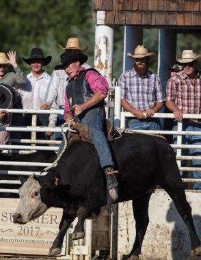 Rodeo eylem 29 Temmuz 2017 Scott Vadisi zevk Park Rodeo Etna, Kaliforniya,.