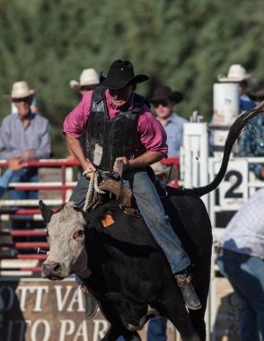 Rodeo eylem 29 Temmuz 2017 Scott Vadisi zevk Park Rodeo Etna, Kaliforniya,.