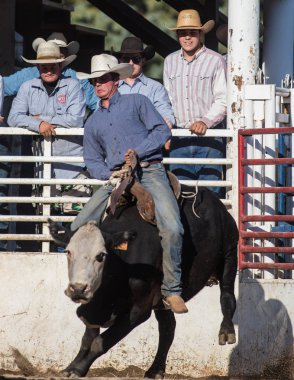 Güçlü bir yolculuk olacak