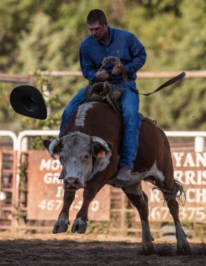 Etna Rodeo Bull binme