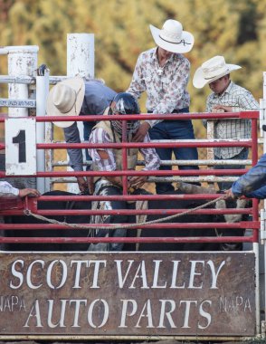 Scott Vadisi zevk Park Rodeo Etna, Kaliforniya'da Rodeo eylem. 29 Temmuz 2017 
