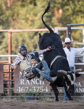 Bugün kaba bağlantıyı kesme