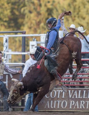 Scott Vadisi Bull Rider