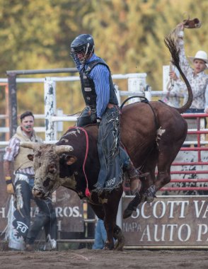 Gurur Bull Rider