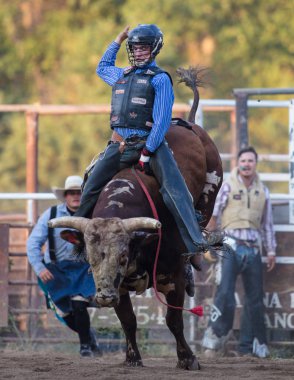 Gurur Bull Rider