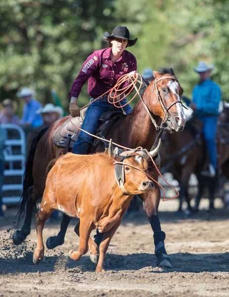Kementleme olay Scott Vadisi zevk Park Rodeo Etna, California yönlendirmek. 29 Temmuz 2017