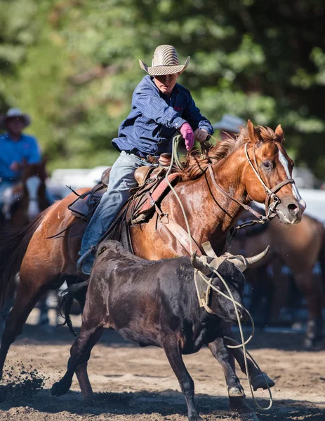 Kementleme olay Scott Vadisi zevk Park Rodeo Etna, California yönlendirmek. 29 Temmuz 2017