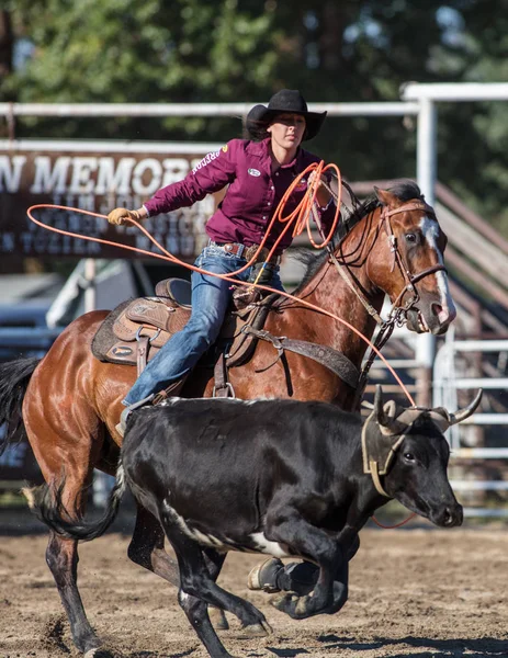 Diriger Événement Corde Scott Valley Pleasure Park Rodeo Dans Etna — Photo